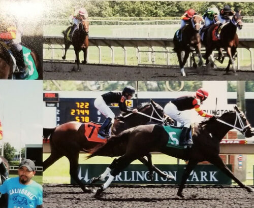 ARLINGTONPARK2